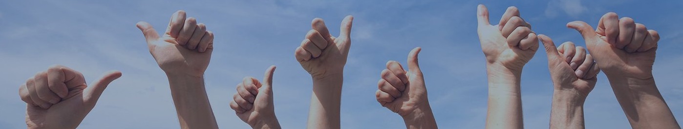 Windows Replacement & Door Installation Reviews