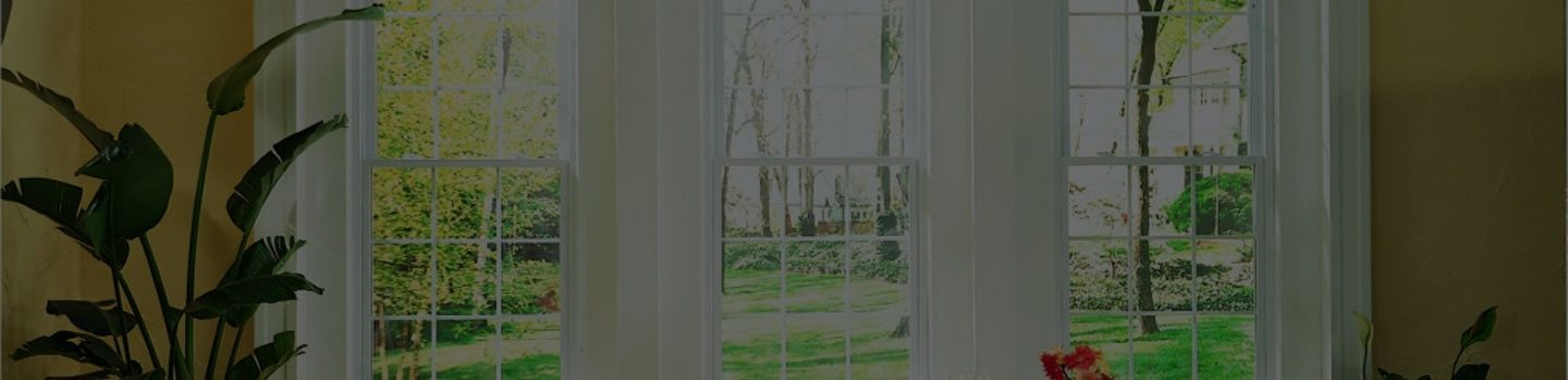 Elements Series Windows by Soft-Lite