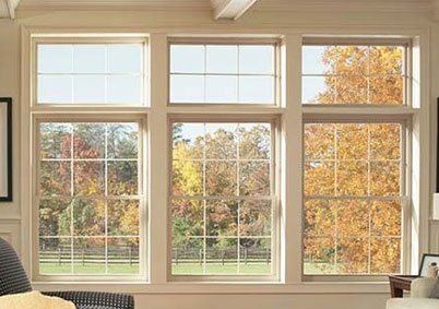 Soft-lite Pro Double Hung Window