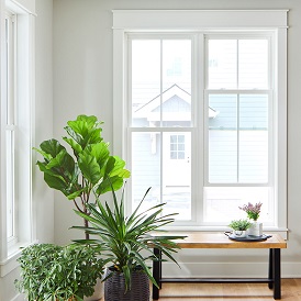 Pella Encompass Double Hung Window