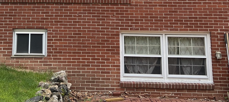 Basement Windows