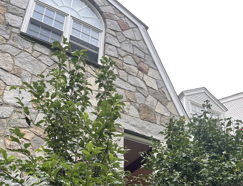 One window removed 