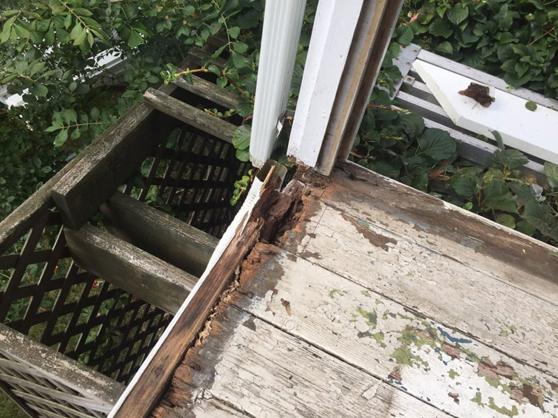Rot repair work 