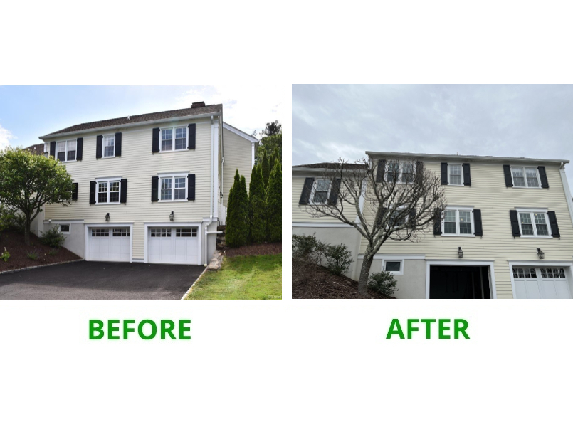 New Cannan window experts