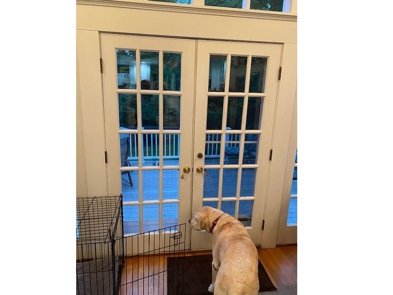 Old door doesn't operate properly
